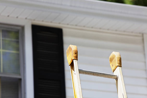 Shed Removal in North Miami, FL